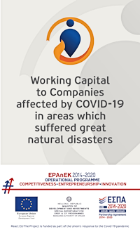 Working Capital for companies that suffered natural disasters